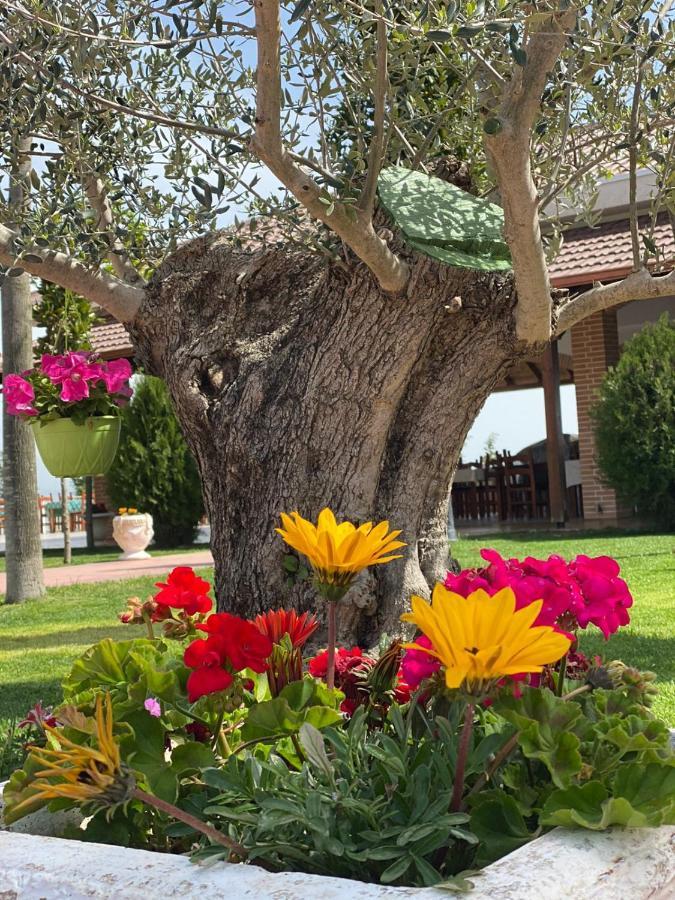 Ardenica Boutique Hotel Lushnje Exterior photo